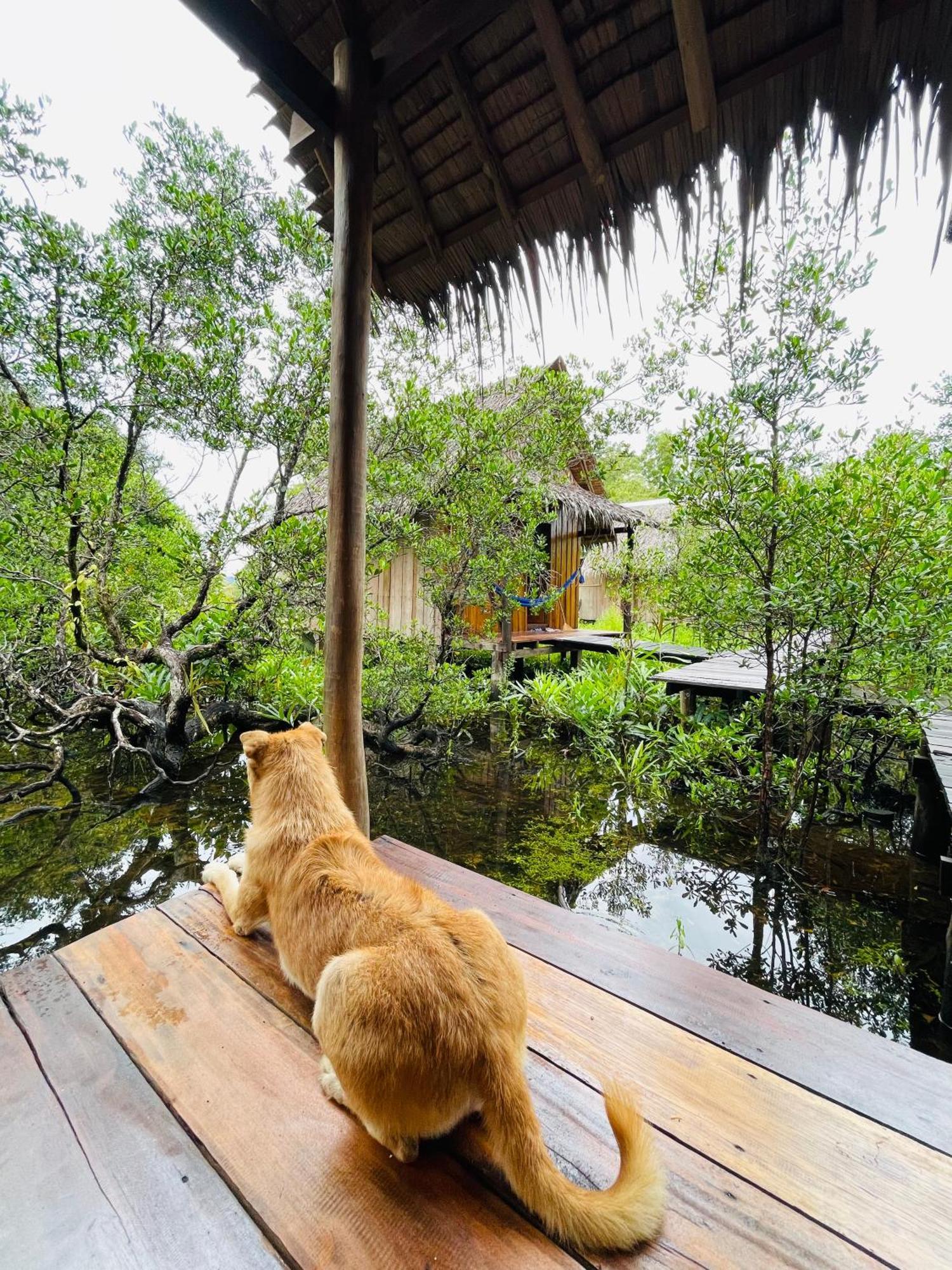 Lily'S Riverhouse Prek Svay Village Zewnętrze zdjęcie