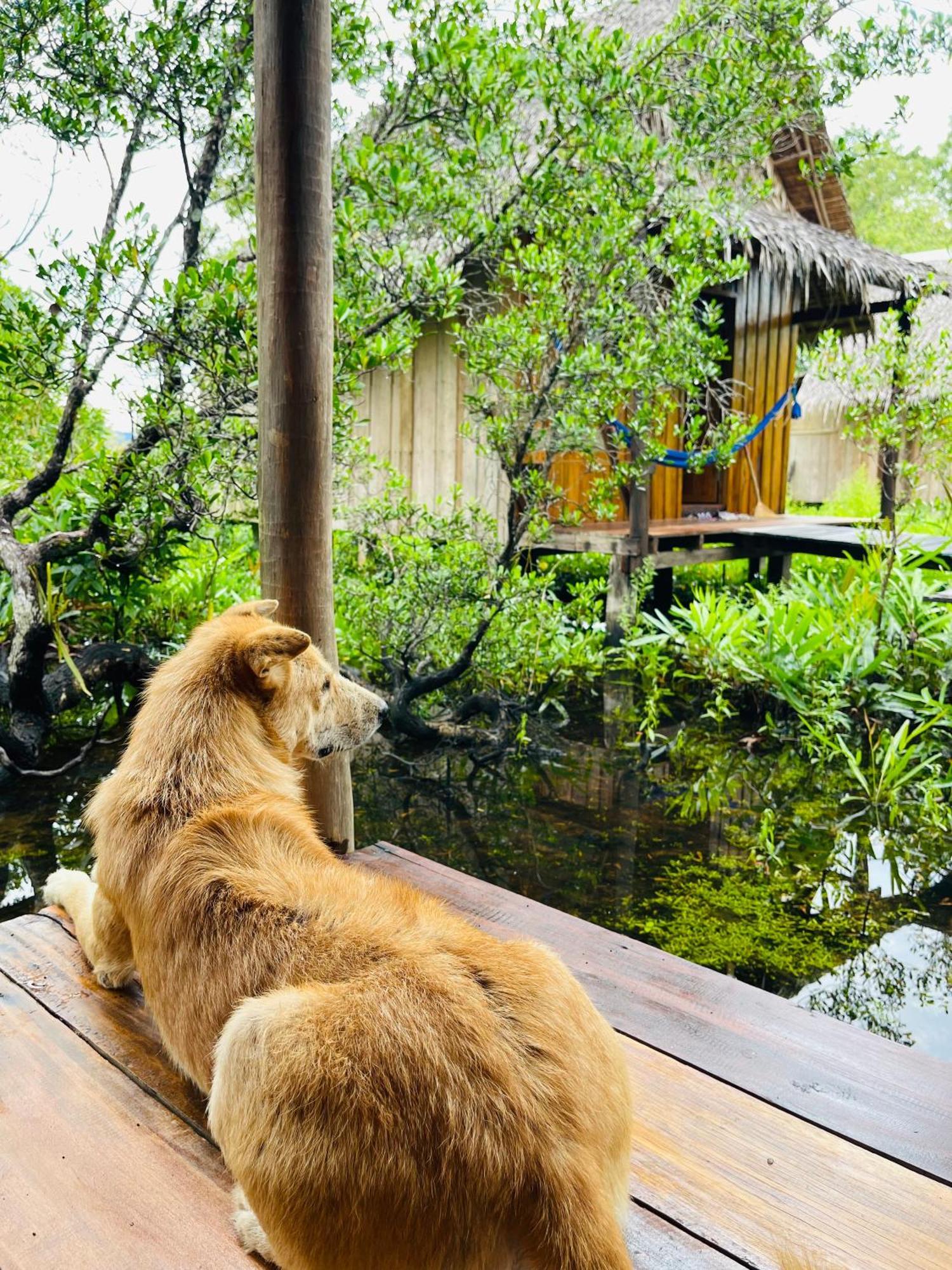 Lily'S Riverhouse Prek Svay Village Zewnętrze zdjęcie
